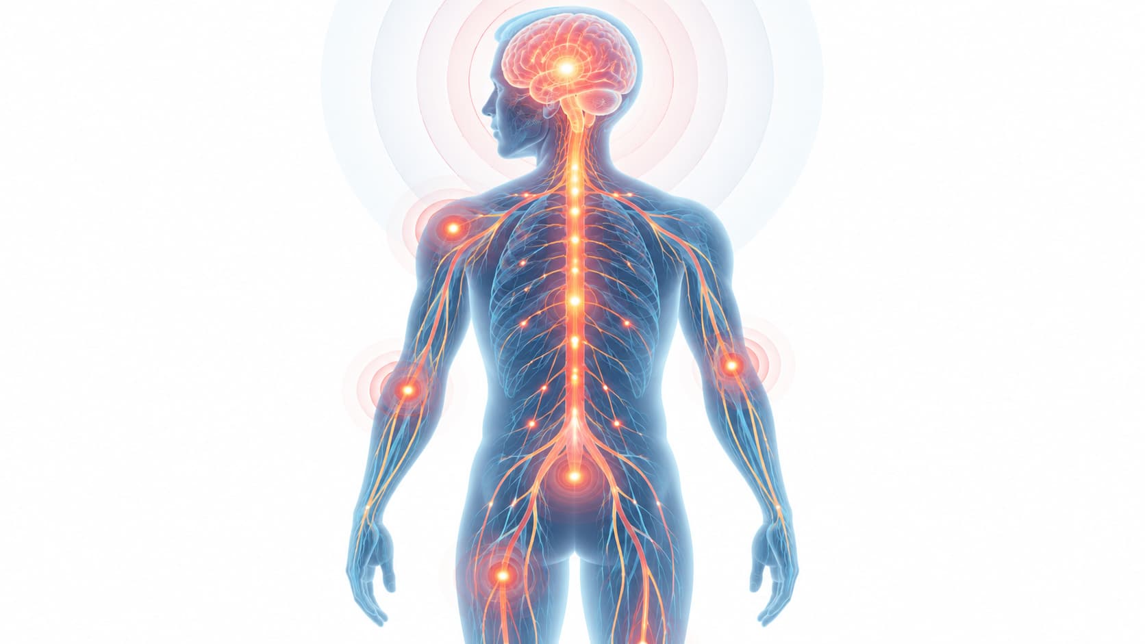 Ilustración del sistema nervioso humano con puntos de dolor iluminados
